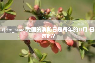 泰州我国的消防日是每年的11月9日对吗？