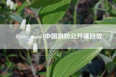 泰州中国消防公开课回放