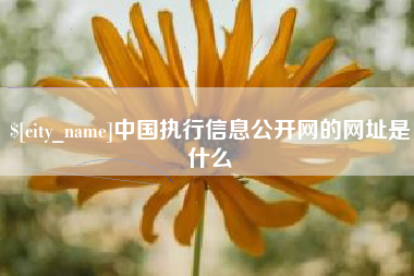 泰州中国执行信息公开网的网址是什么