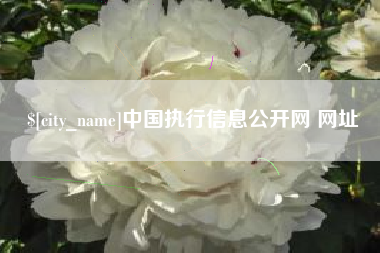 泰州中国执行信息公开网 网址
