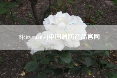 泰州中国消防产品官网