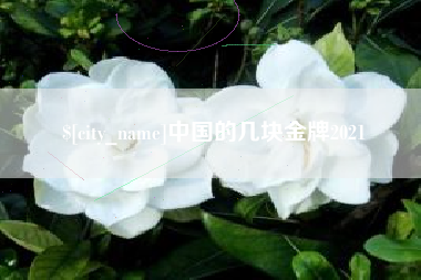 泰州中国的几块金牌2021