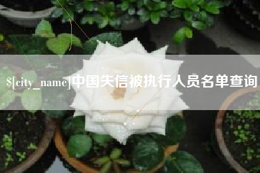 泰州中国失信被执行人员名单查询