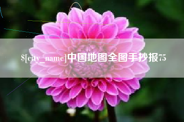 泰州中国地图全图手抄报75