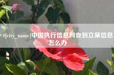 泰州中国执行信息网查到立案信息怎么办
