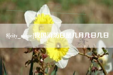 泰州我国消防日是几月几日几日