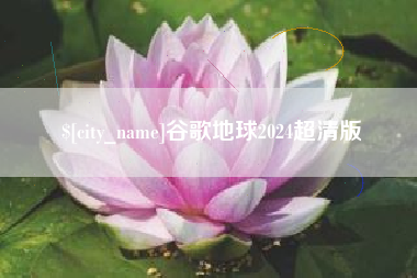 泰州谷歌地球2024超清版
