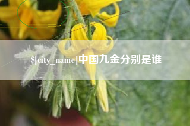 泰州中国九金分别是谁