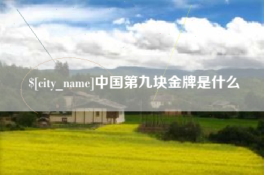 泰州中国第九块金牌是什么