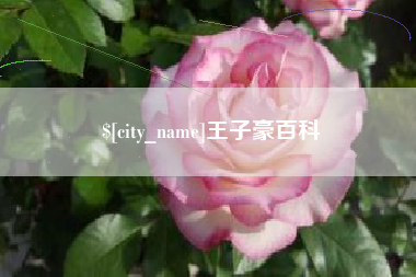 泰州王子豪百科