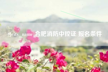 泰州合肥消防中控证 报名条件