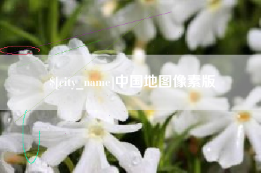泰州中国地图像素版