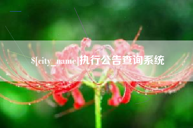 泰州执行公告查询系统