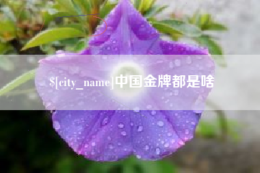 泰州中国金牌都是啥