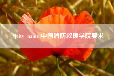 泰州中国消防救援学院要求