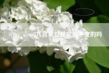 泰州九宫星位是定位不变的吗