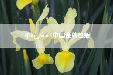 泰州中国金牌包括