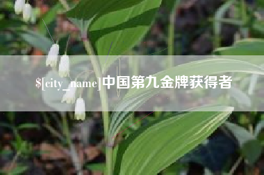 泰州中国第九金牌获得者