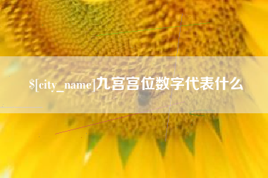 泰州九宫宫位数字代表什么