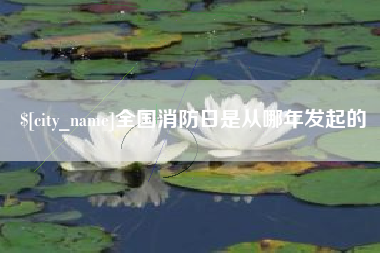 泰州全国消防日是从哪年发起的