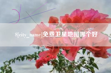 泰州免费卫星地图哪个好