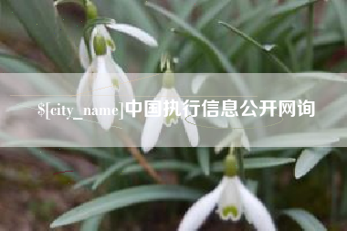 泰州中国执行信息公开网询