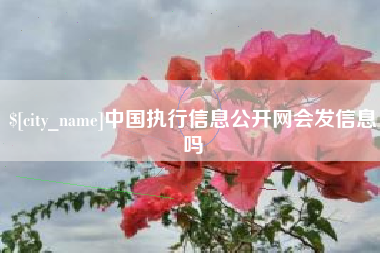 泰州中国执行信息公开网会发信息吗
