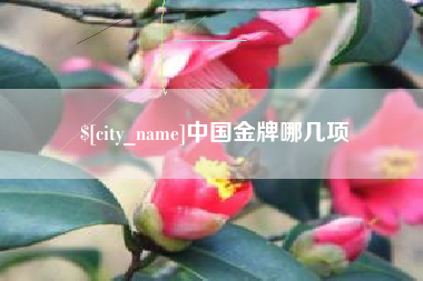 泰州中国金牌哪几项
