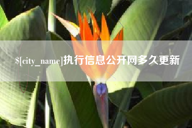 泰州执行信息公开网多久更新