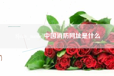 泰州中国消防网址是什么