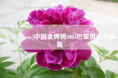 泰州中国金牌榜2024巴黎奥运会最新