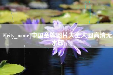 泰州中国金牌图片大全大图高清无水印