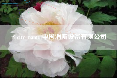 泰州中国消防设备有限公司