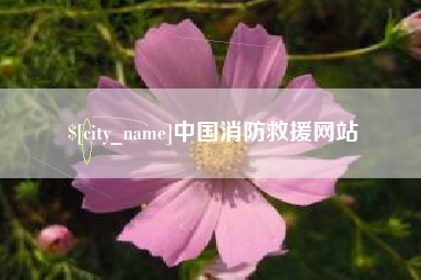 泰州中国消防救援网站
