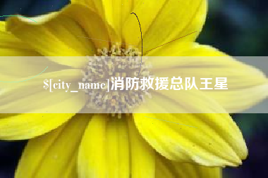 泰州消防救援总队王星