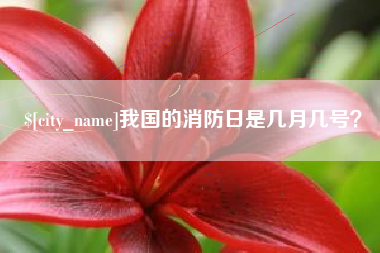 泰州我国的消防日是几月几号？