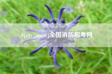 泰州全国消防招考网