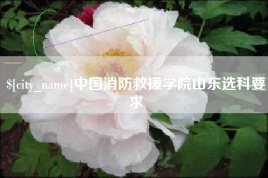 泰州中国消防救援学院山东选科要求