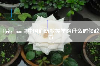 泰州中国消防救援学院什么时候政审