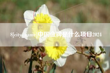 泰州中国金牌是什么项目2024
