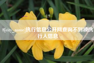 泰州执行信息公开网查询不到被执行人信息