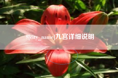 泰州九宫详细说明