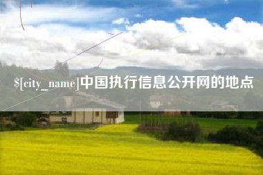 泰州中国执行信息公开网的地点