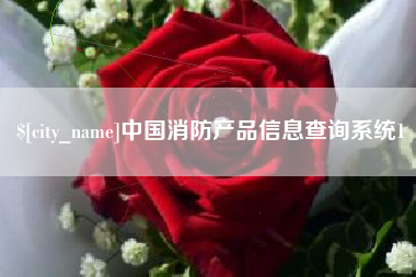 泰州中国消防产品信息查询系统1