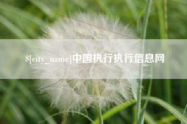 泰州中国执行执行信息网