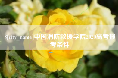 泰州中国消防救援学院2020高考报考条件