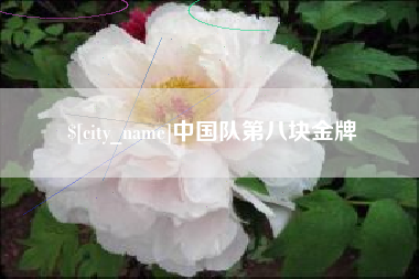 泰州中国队第八块金牌