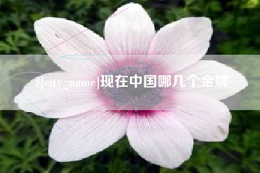 泰州现在中国哪几个金牌