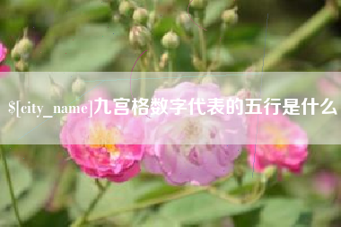 泰州九宫格数字代表的五行是什么