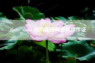 泰州消防证国网查询操作证